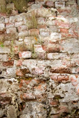 Old brick wall with a grass