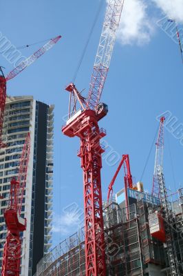 Cranes On A Construction Site