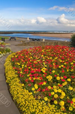 Garden in East Beach