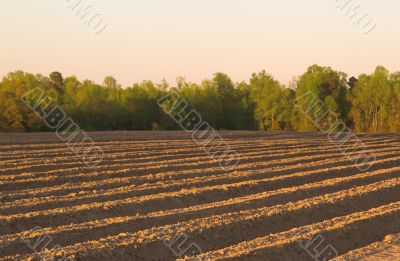 Furrows