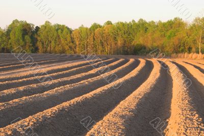 Furrows