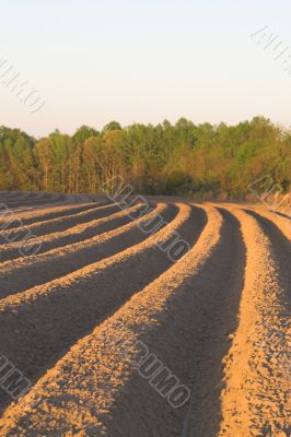 Furrows