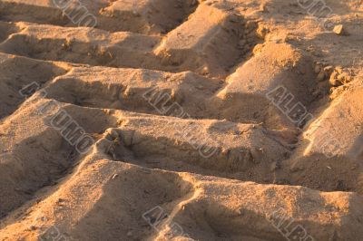 Tractor Tracks