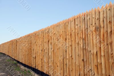 Wooden paling
