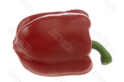 One red pepper