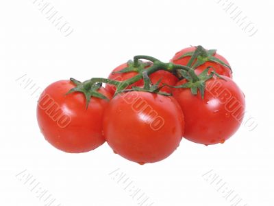 Cluster a tomato