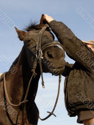 teenager , bridle and her horse