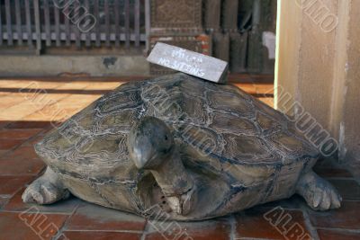 Stone turtle