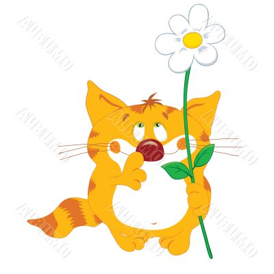 Red_cat_with_flower_and_look_up