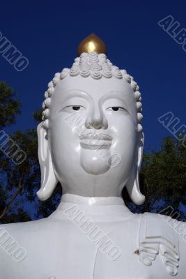 Head of Buddha