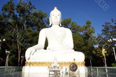 White Buddha