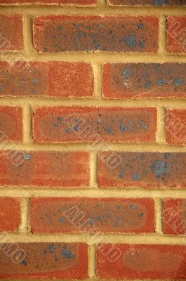 New brick wall