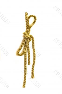  gold cord