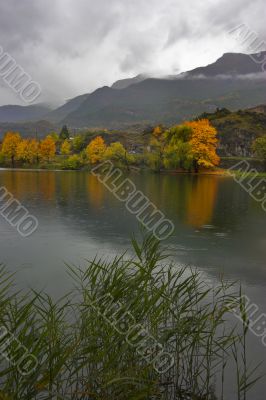 Autumn torches.