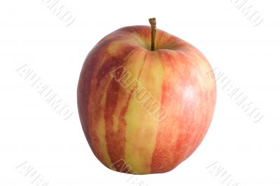 fresh striped apple