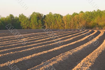 Furrows
