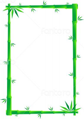 Bamboo Frame