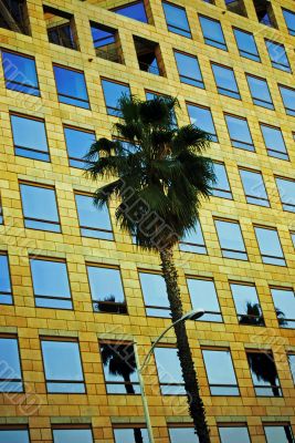 Palm Facade