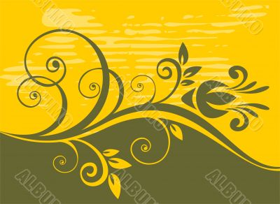 vegetative pattern
