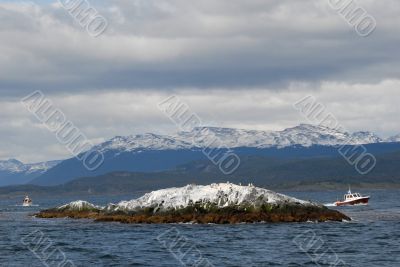 Two ships in the Beagle Channel