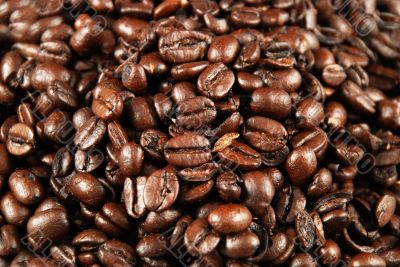 coffee beans