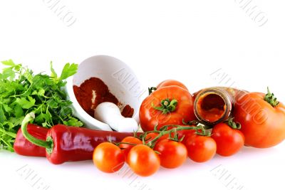 raw fresh ingredients for sause