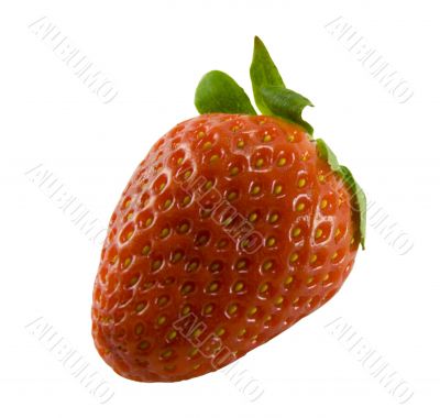 strawberry