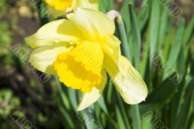 Spring again!