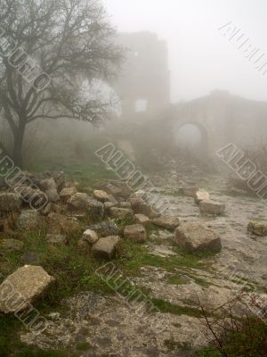 stronghold ancient mist morning age-old wall tree