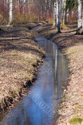 The spring canal