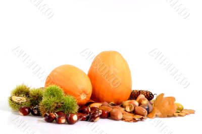 Harvest Decoration