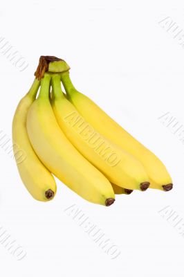 Snack