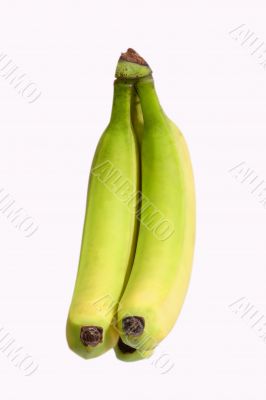 Green Bananas