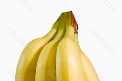 Ripe Bananas