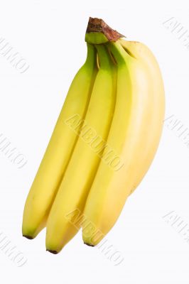 Bananas