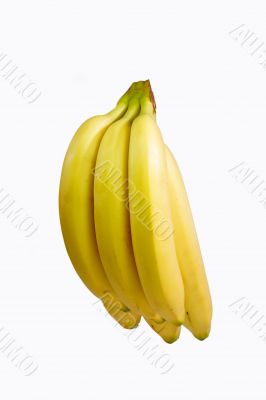 Healthy Bananas