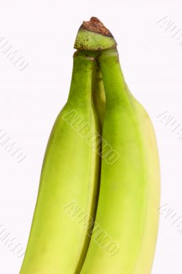 Tropical Fruits