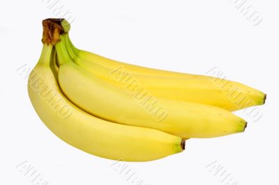 Warped Fruits