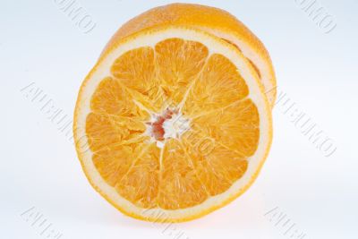 fresh orange