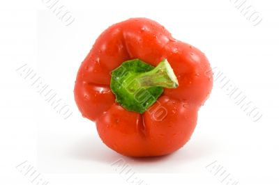 red pepper