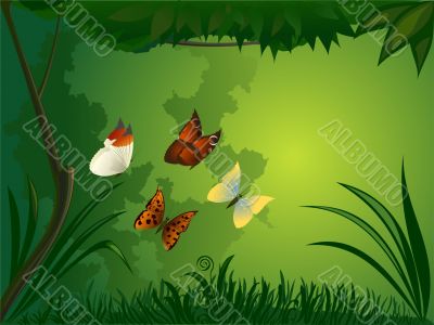 Forest with butterfly
