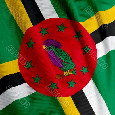 Dominica Flag Closeup