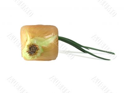 Cube grown onion on white