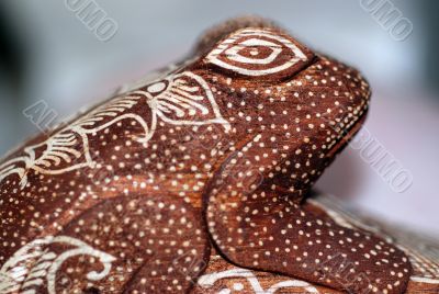 Spotty Wooden Frog