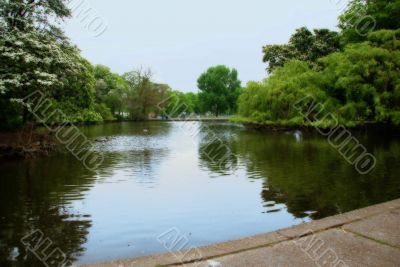 The Park Lake