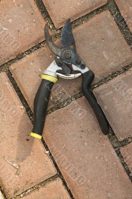 Garden Shears