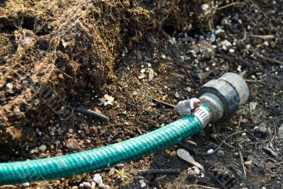 Garden Hose