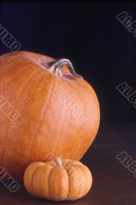 Pumpkin Pair