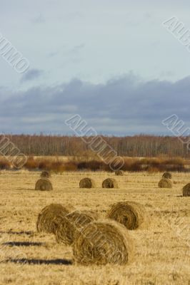 Country with hayricks