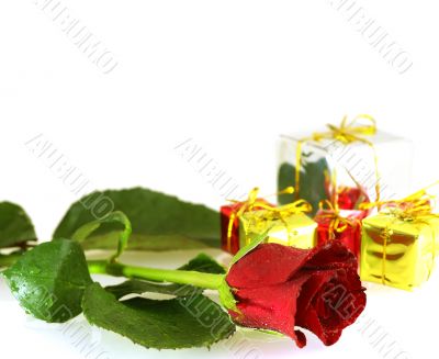 close up shot of rose with droplets and gift boxes